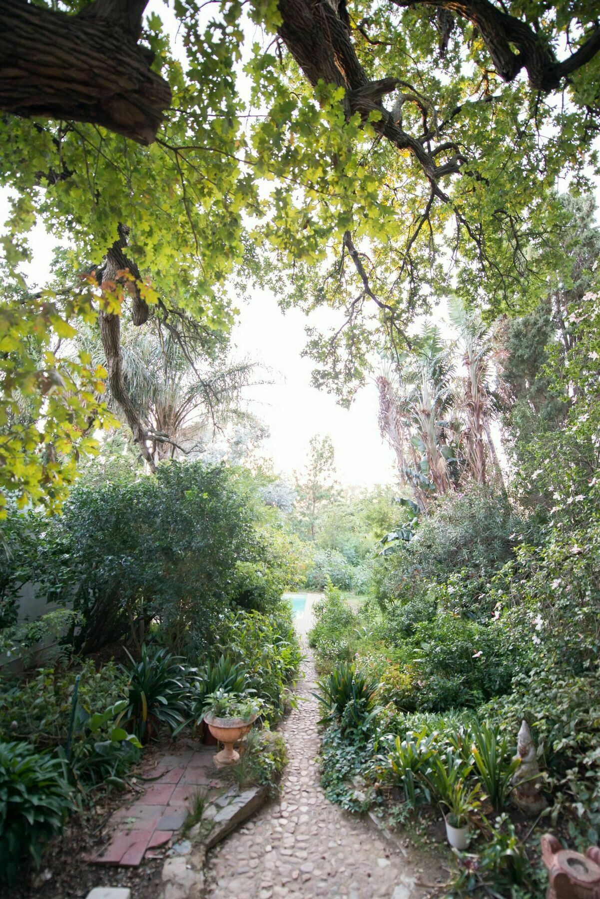 Tulbagh Country Guest House - Cape Dutch Quarters Zewnętrze zdjęcie